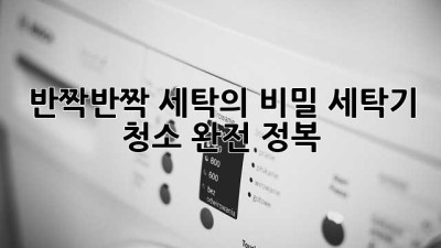 ✨ 반짝반짝 세탁의 비밀! 세탁기 청소 완전 정복 🧺