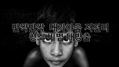 반짝반짝 ✨ 대가야읍 저전리 청소 비법 대방출! 🏡🧹
