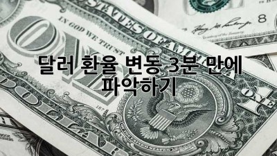 달러 환율 변동, 3분 만에 파악하기